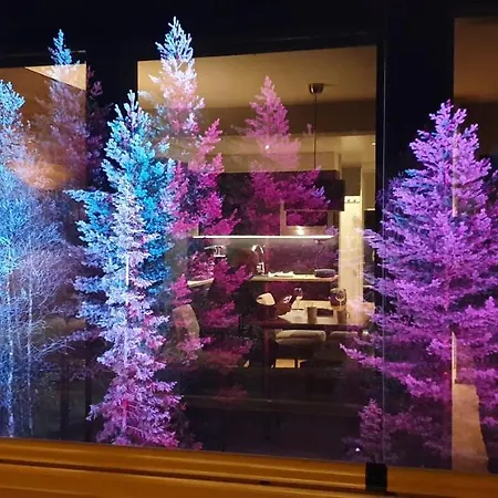 Levin Kunkku C 7 Apartamento *